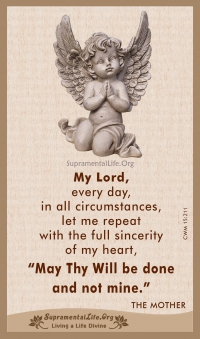 Thy Will Be Done.jpg